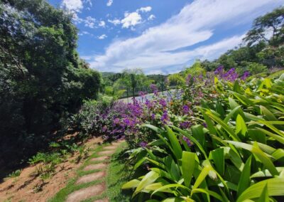 Vida Real paisagismo